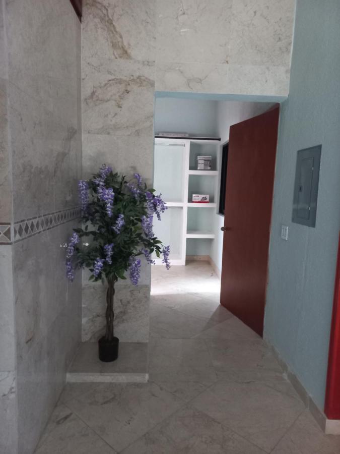 Departamento Tayde Apartment San Jose del Cabo Luaran gambar